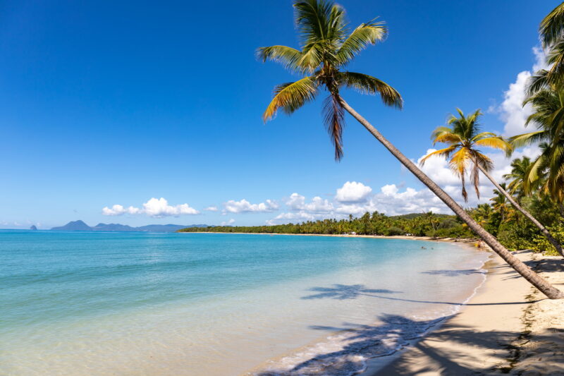 Martinique - Saint Anne Strand
